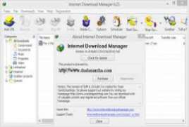 Internet Download Manager 6